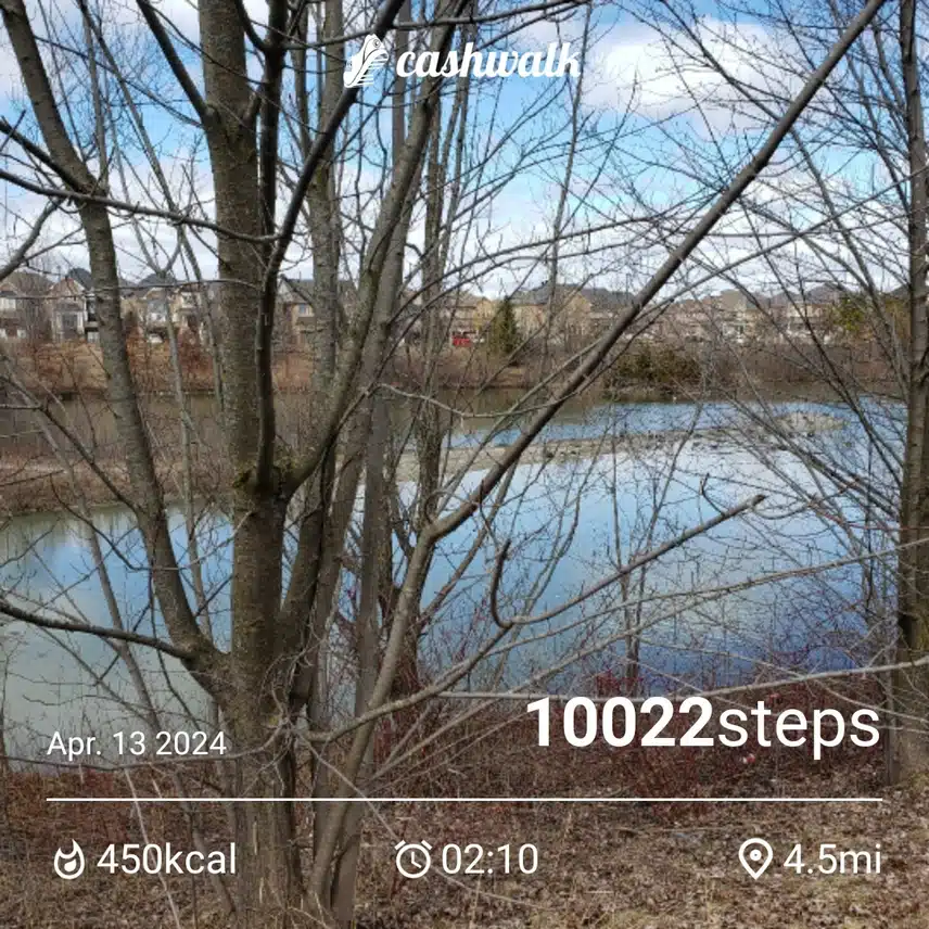 CashWalk_share_capture_20240413_b372640d-992c-48cf-8f82-2019f023