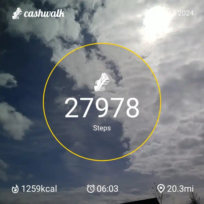 CashWalk_share_capture_20240415_6eec8c55-8c3c-4414-98ac-82131aab