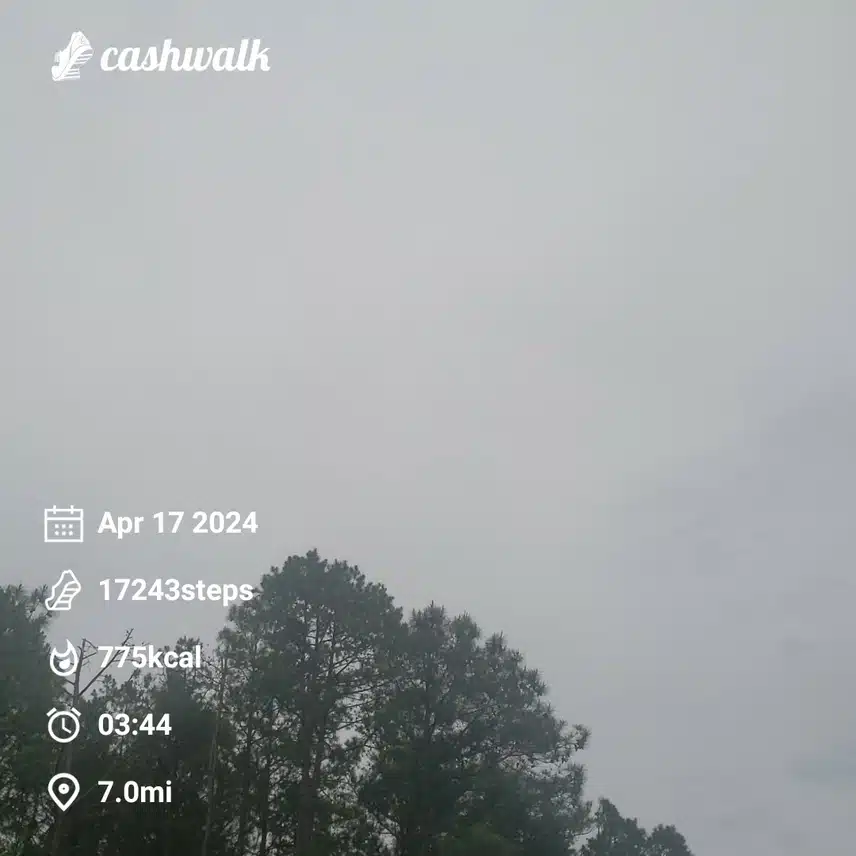 CashWalk_share_capture_20240417_91a664a8-78a9-4a9b-8566-4ef9cd27