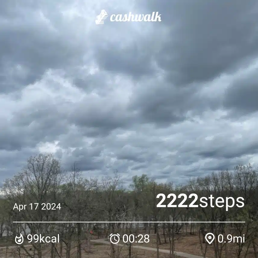 CashWalk_share_capture_20240417_83d01624-8d0e-4a4e-a0f9-0a072f78