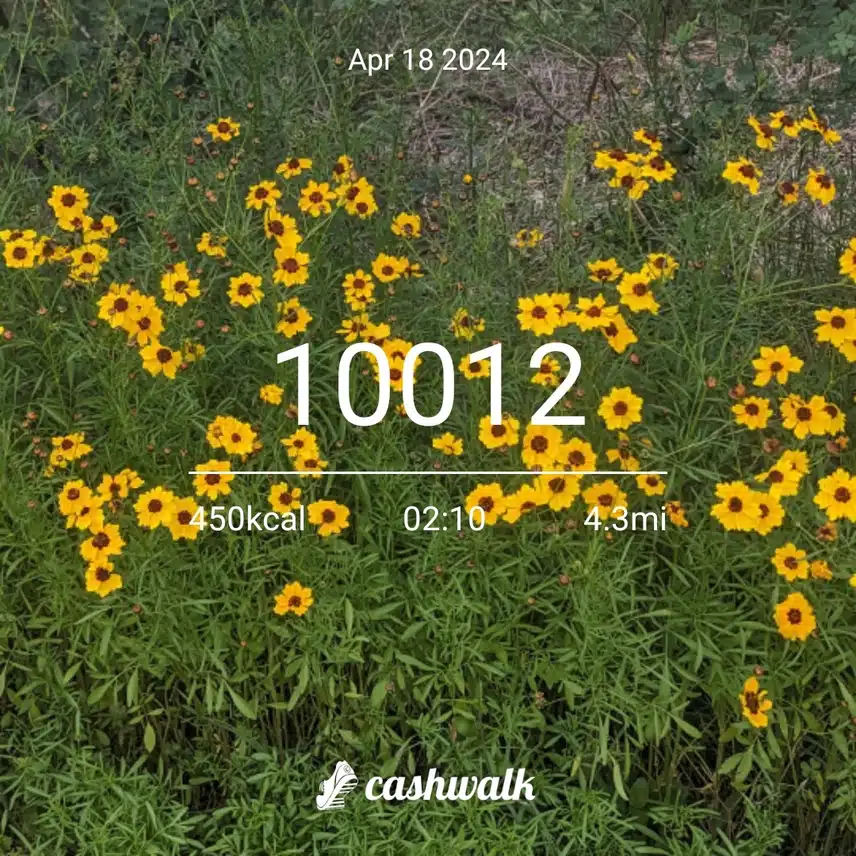 1000001573.jpg_resize