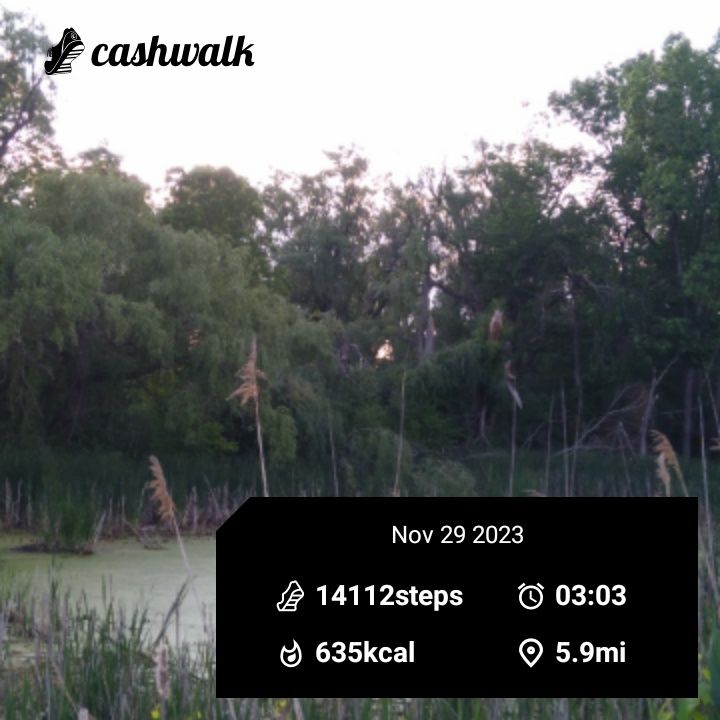 CashWalk_share_capture_20231129_bad5f249-f051-4347-908d-44c272cd