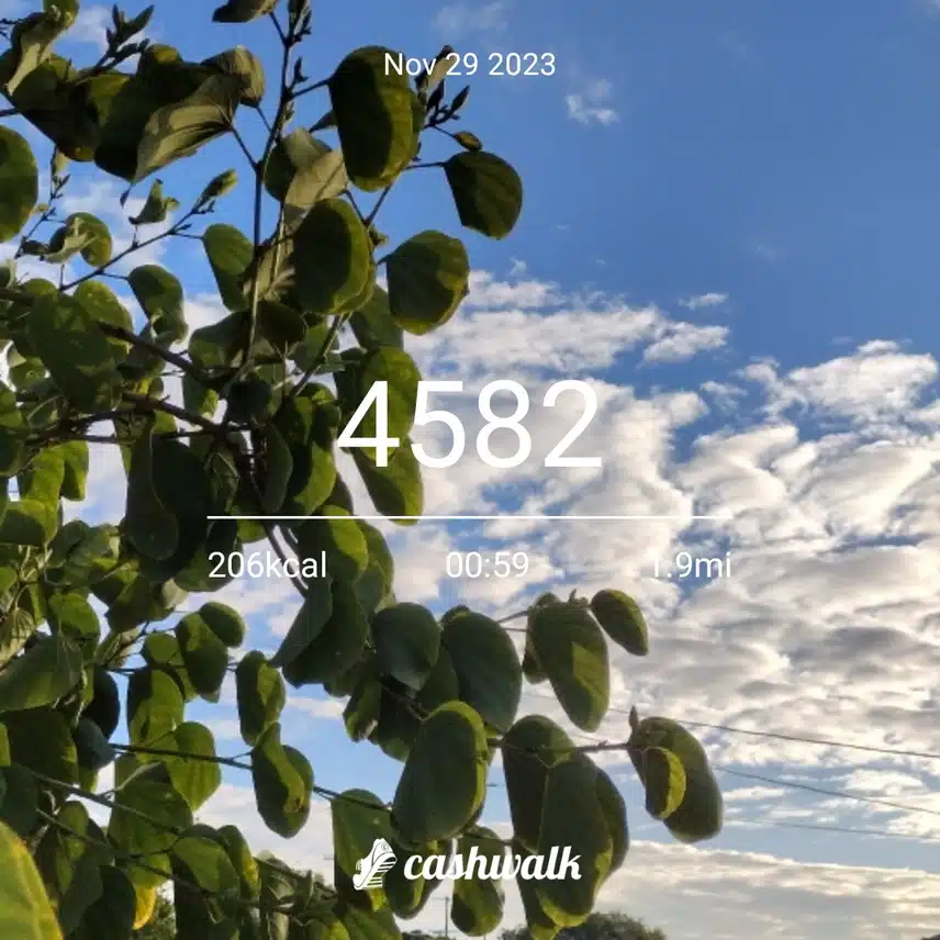 CashWalk_share_capture_20231129_8bc9b6f5-a534-4e84-85c8-1d77fa30