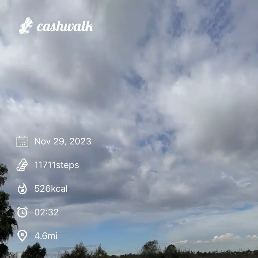 IMG_1173.jpeg_resize