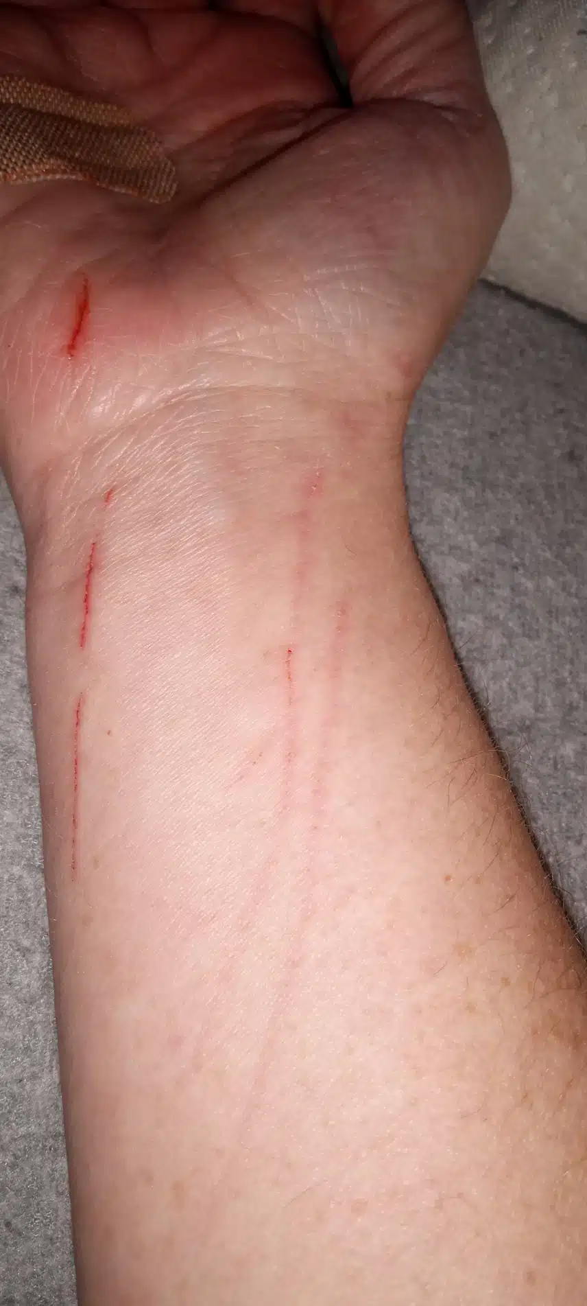 IMG_20240420_230844434.jpg_resize