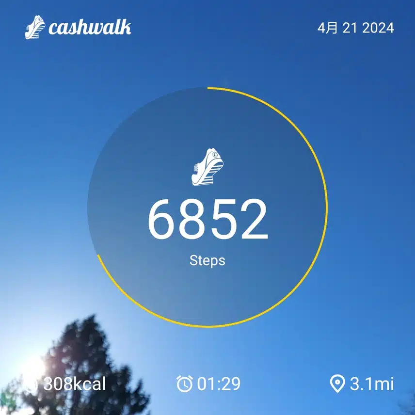 CashWalk_share_capture_20240421_b811f974-06f8-4fd5-924c-f1017750