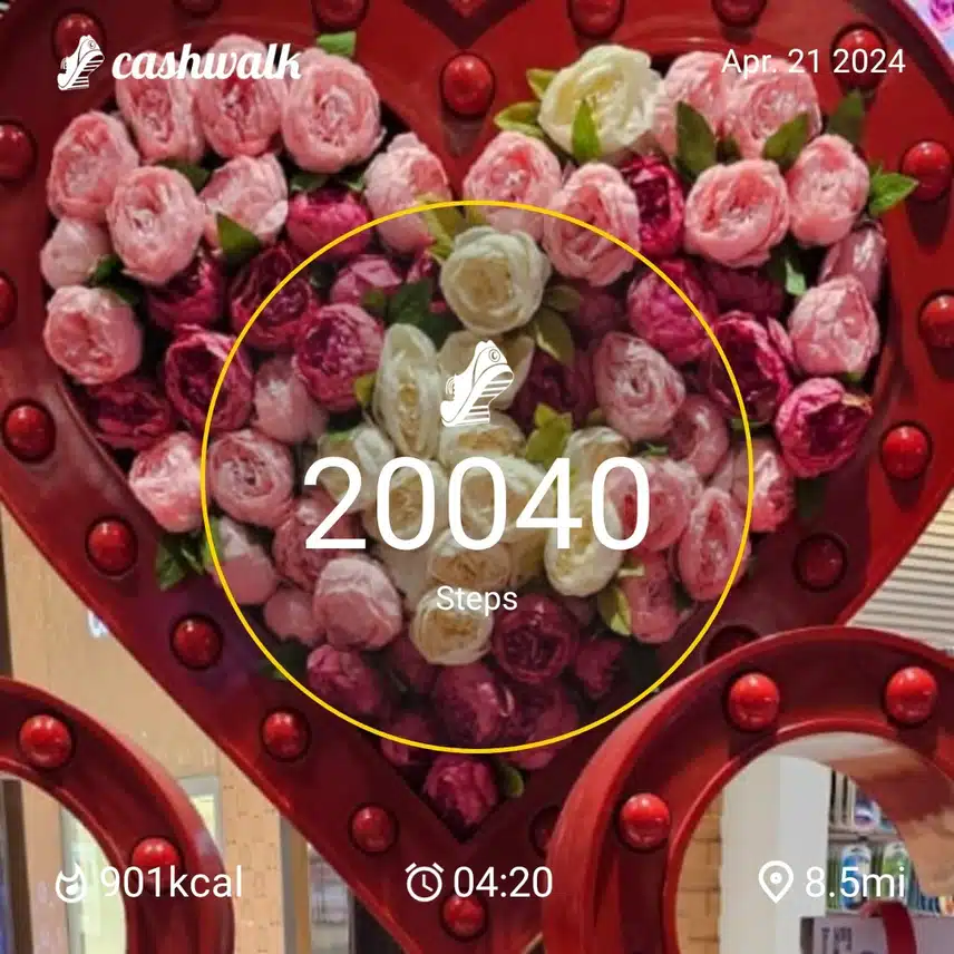 CashWalk_share_capture_20240421_17ee4586-195f-4e4c-ba97-7447b48f