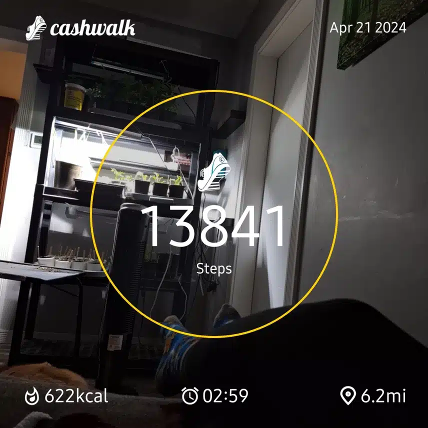 1000005103.jpg_resize