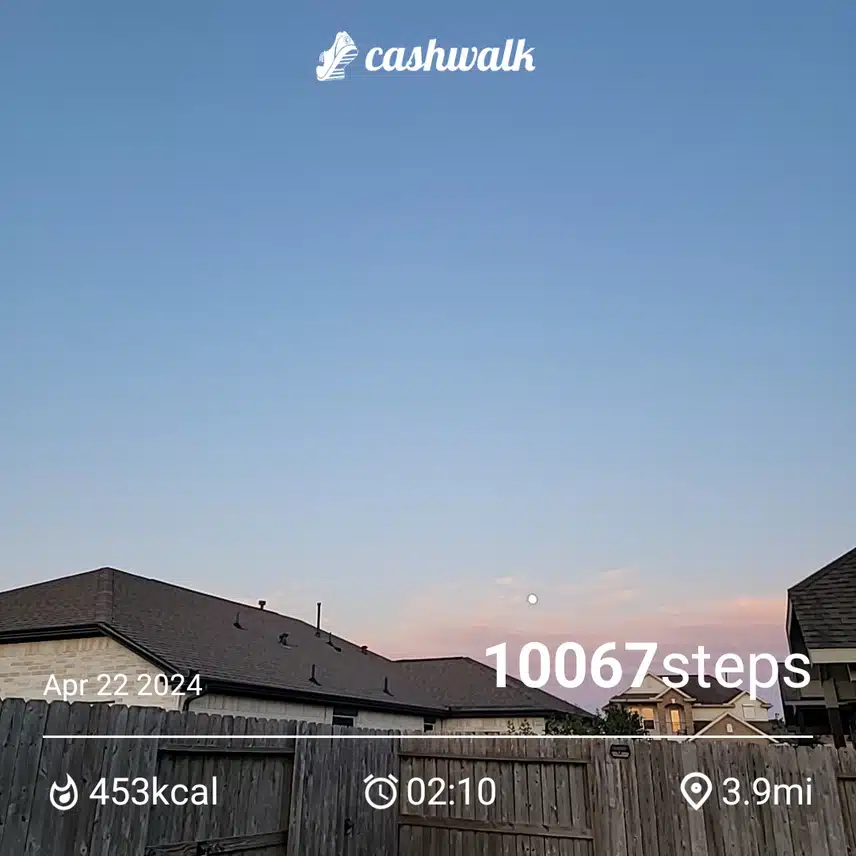 1000029429.jpg