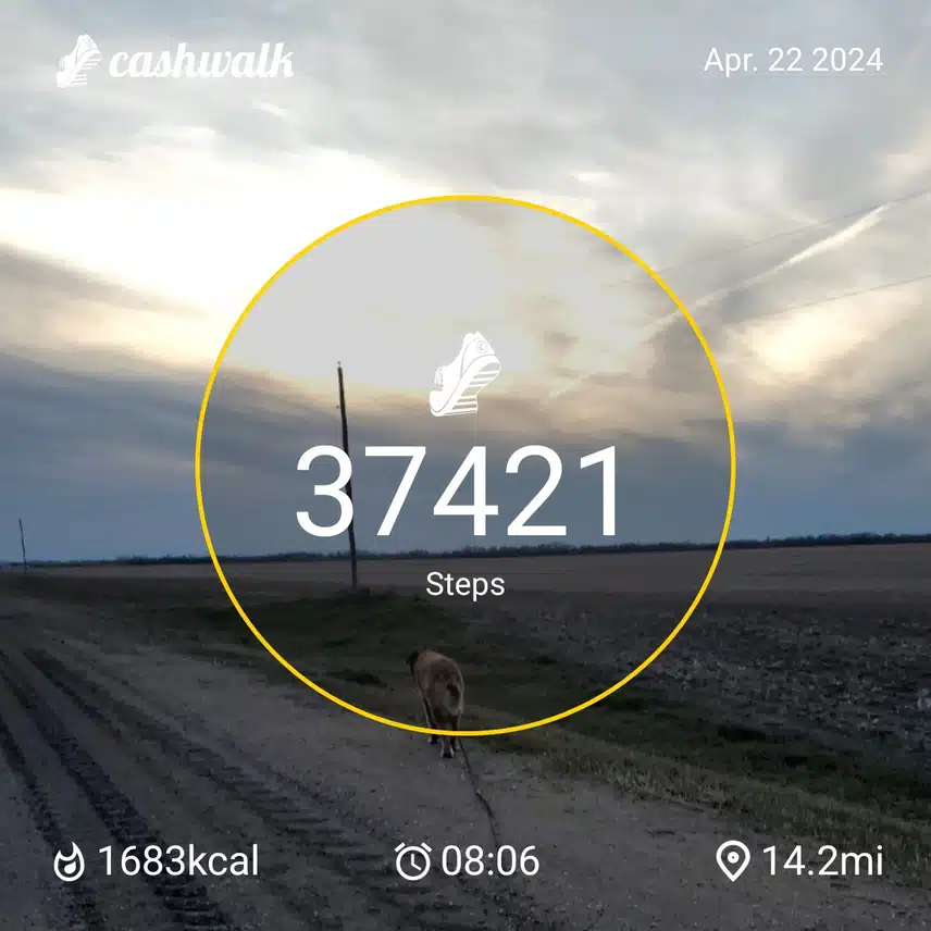 CashWalk_share_capture_20240422_88eb42de-f36d-4754-b771-baa1fd24