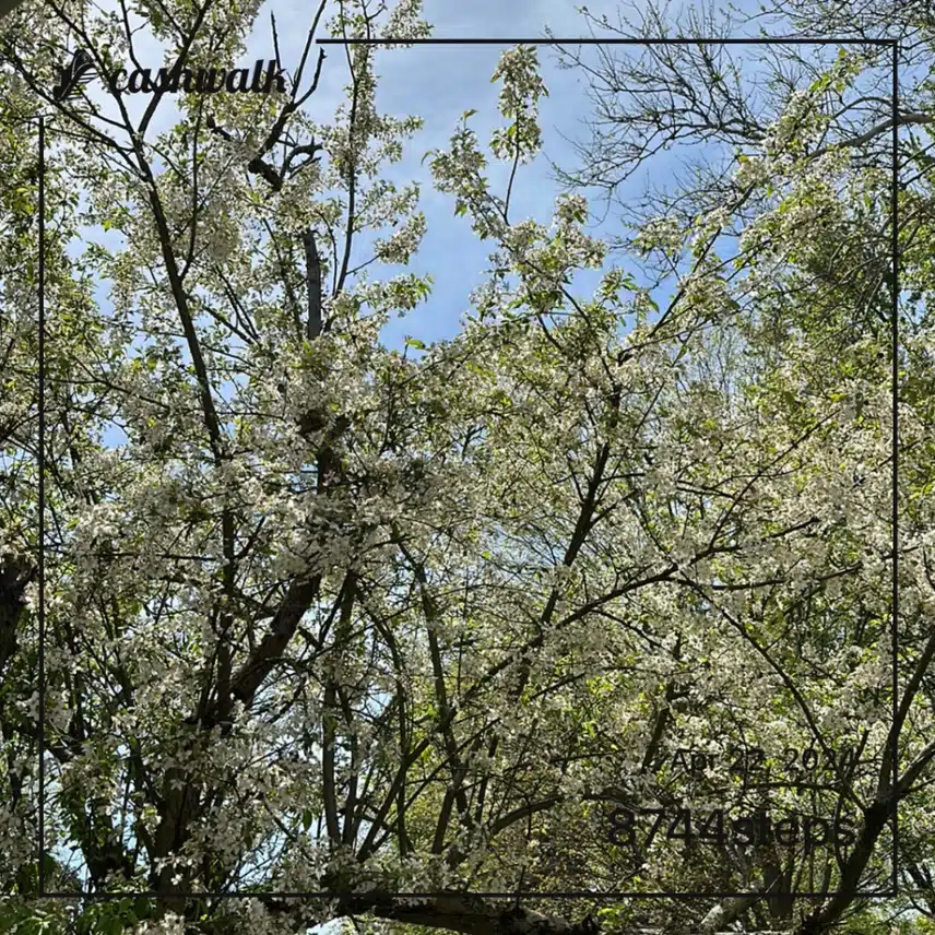 IMG_4511.jpeg_resize