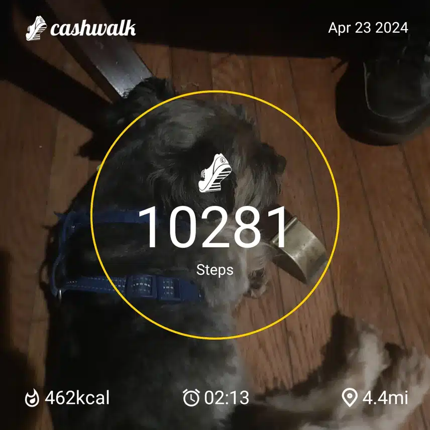 1000049109.jpg