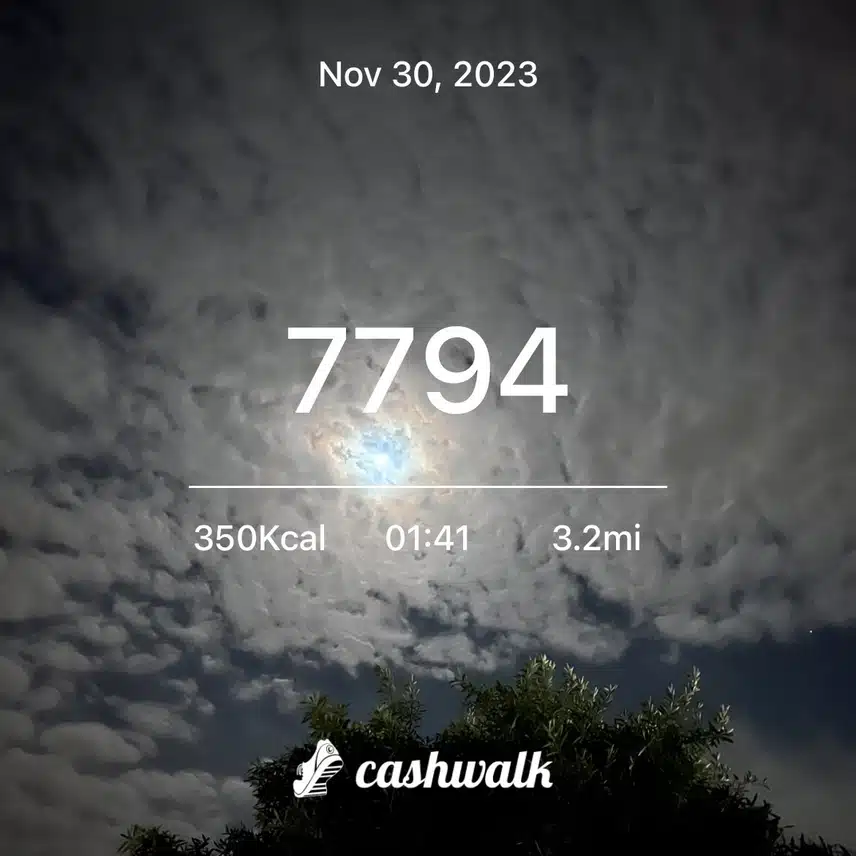 IMG_3993.jpeg_resize