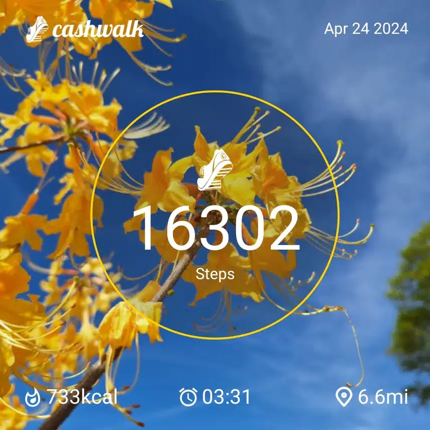 1000008646.jpg_resize