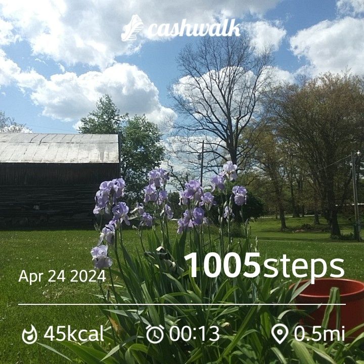 CashWalk_share_capture_20240424_e2049f79-40ad-4d1a-9162-4e2a792b