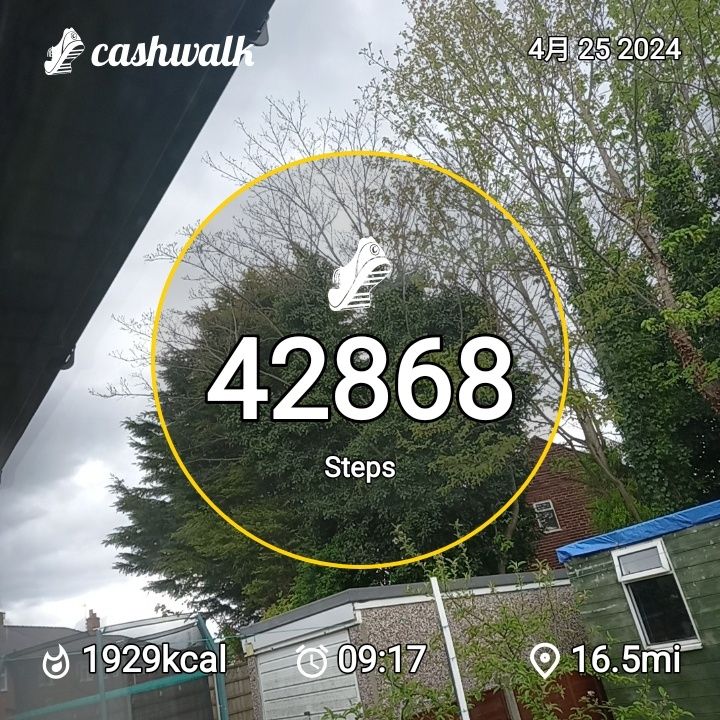 CashWalk_share_capture_20240425_d33867f2-866f-447e-89f3-12914fd3