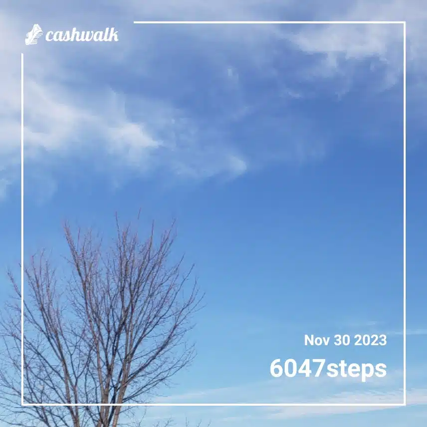 CashWalk_share_capture_20231130_d2ad6217-95bc-43a5-988a-5879f5c0