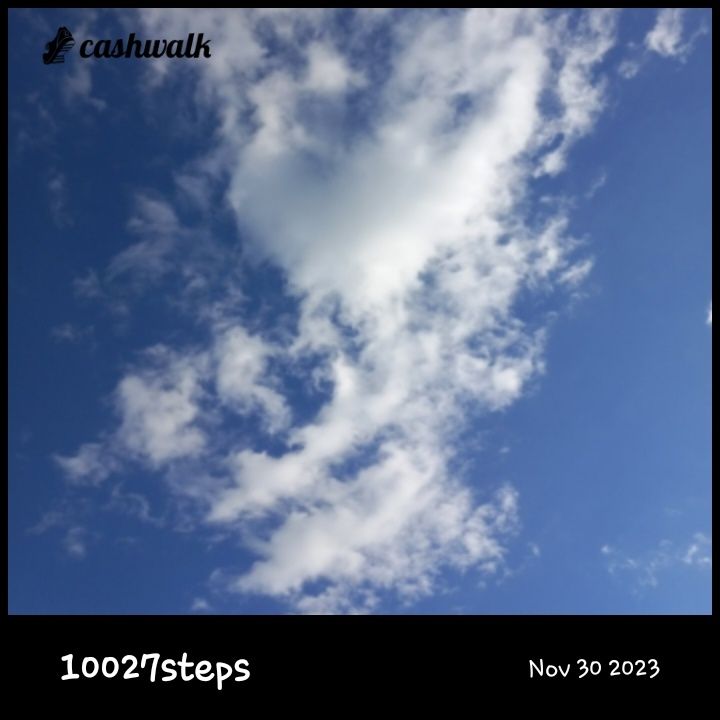 CashWalk_share_capture_20231130_8082e0e6-793c-4f80-b8b1-d0c45f4c