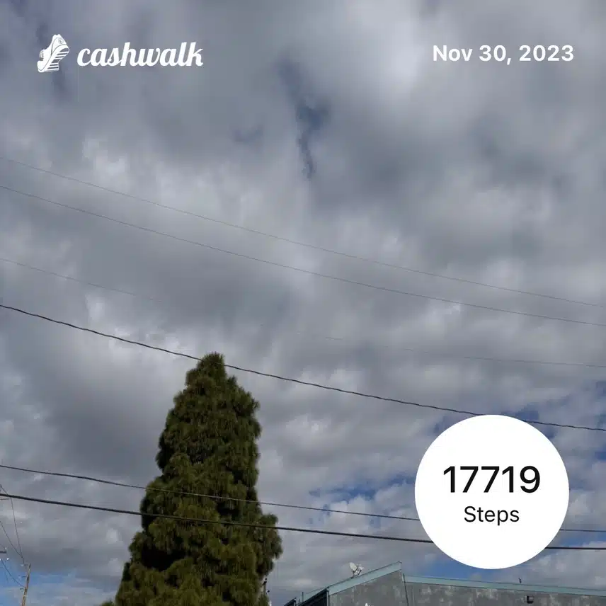 IMG_1200.jpeg_resize