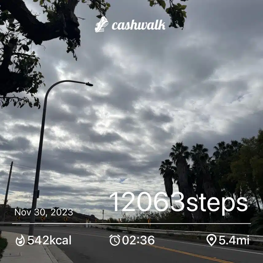 IMG_0142.jpeg_resize