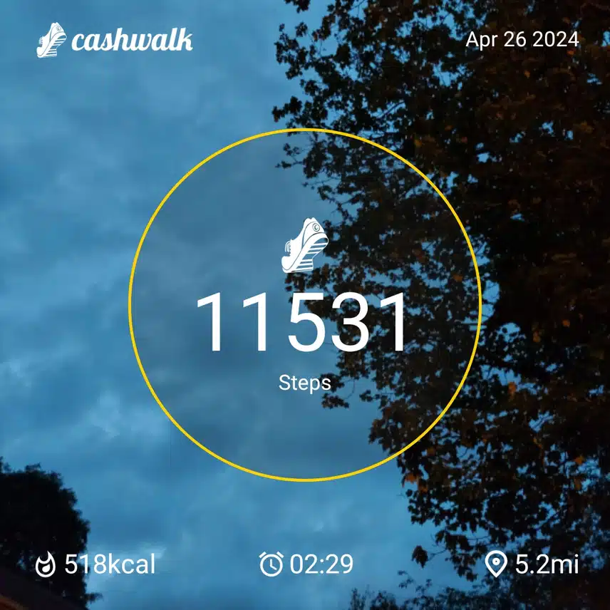 1000018182.jpg
