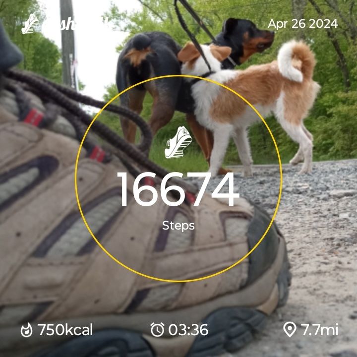 CashWalk_share_capture_20240426_de831b9c-3df8-4867-b6af-5f5f28e3