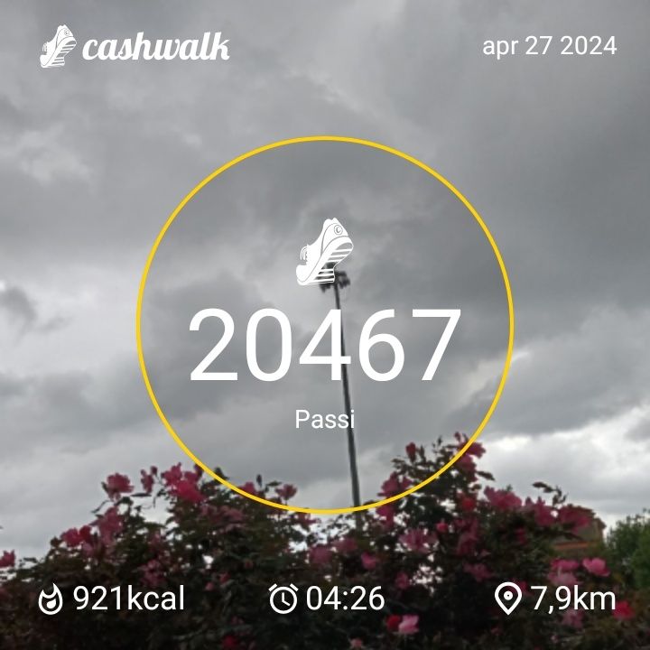 CashWalk_share_capture_20240427_755f6c72-57d3-4d8f-a204-c97869c5