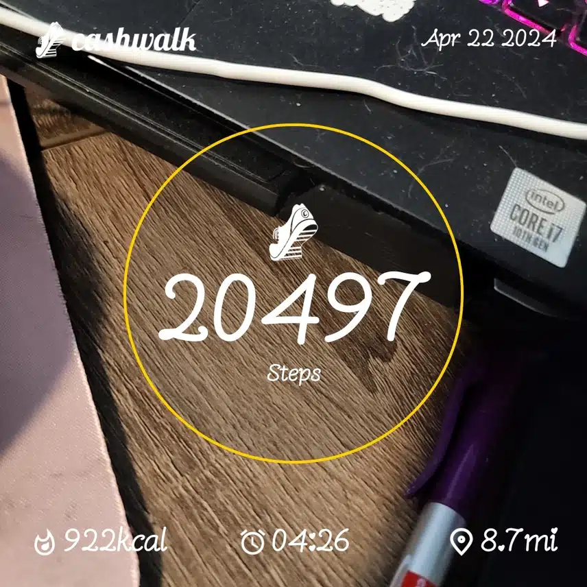 1000015362.jpg_resize
