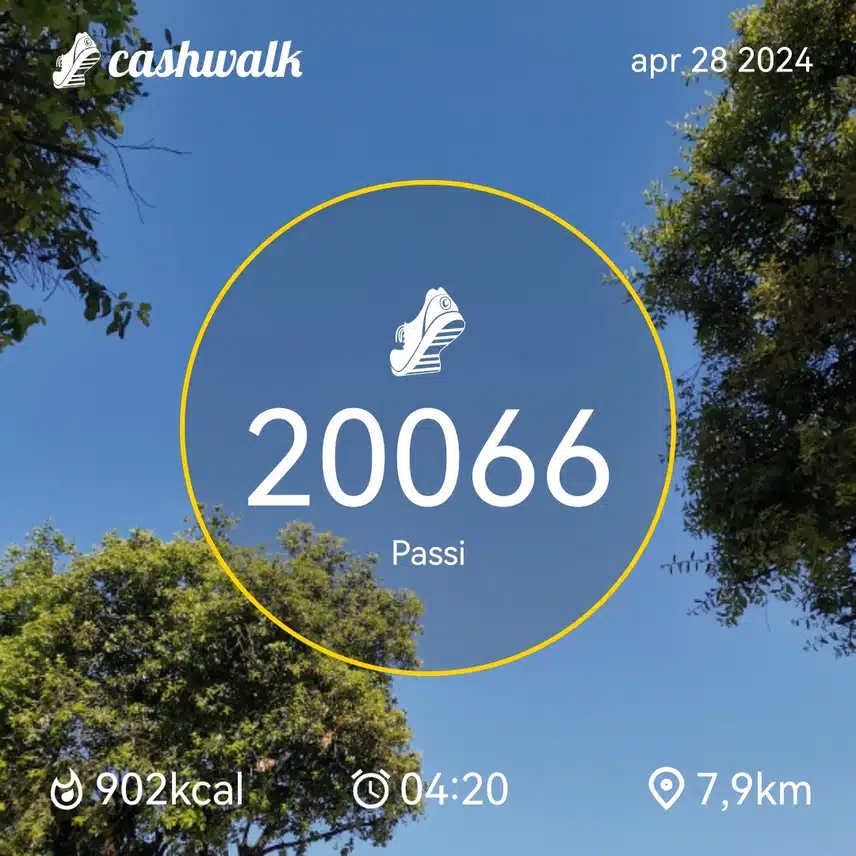 CashWalk_share_capture_20240428_439c52dd-f7b7-4996-b405-a945fdb5
