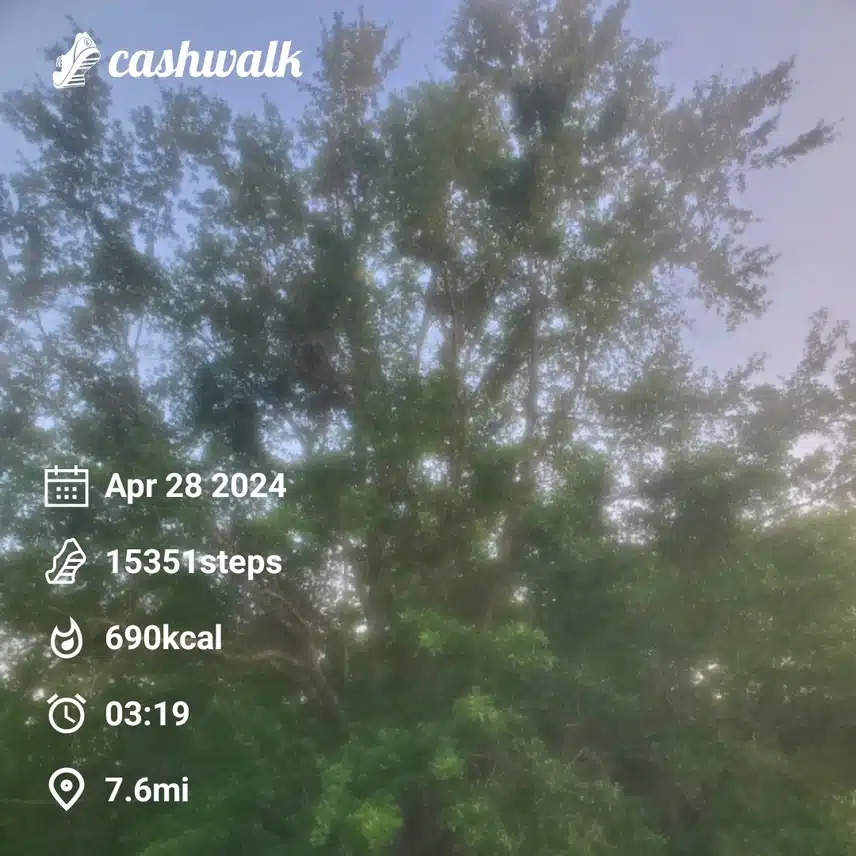 CashWalk_share_capture_20240428_333cd8b0-a860-471c-b0ae-9afb7b9e