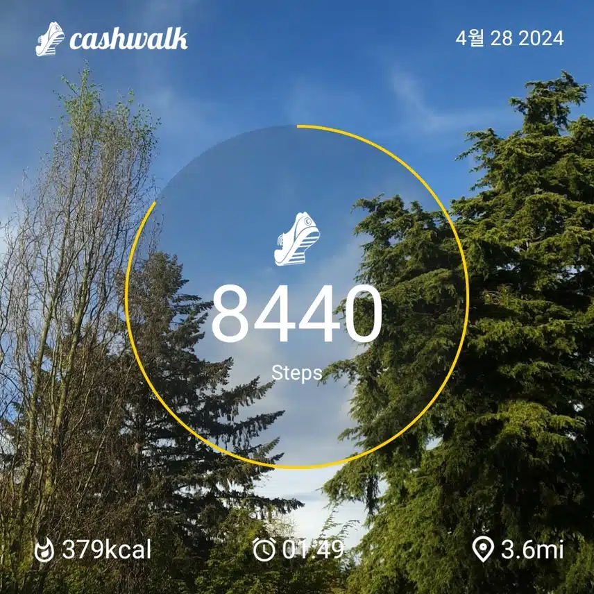 CashWalk_share_capture_20240428_ceb27339-7342-4916-925a-17dcada9