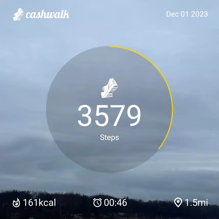 CashWalk_share_capture_20231201_b94ccd07-2ea4-4e0e-938d-e14382ba