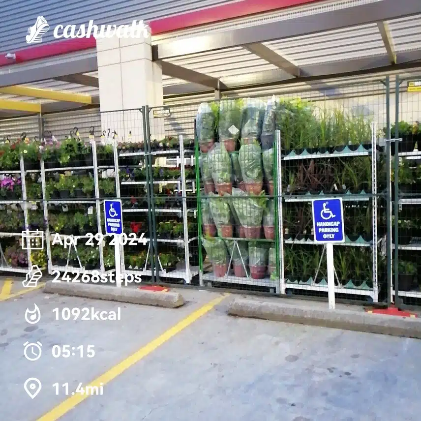 CashWalk_share_capture_20240429_909c1a7b-7707-4a4f-a741-efa6156c
