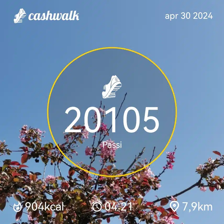 CashWalk_share_capture_20240430_8f23a710-23cb-4dcb-805b-9ec39aa2