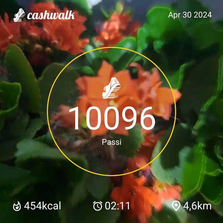 1000007648.jpg_resize