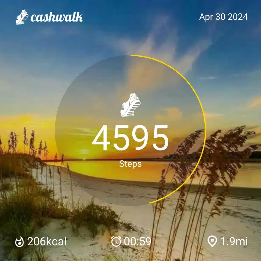 CashWalk_share_capture_20240430_c7b9ad98-e69c-4567-a852-092e992a