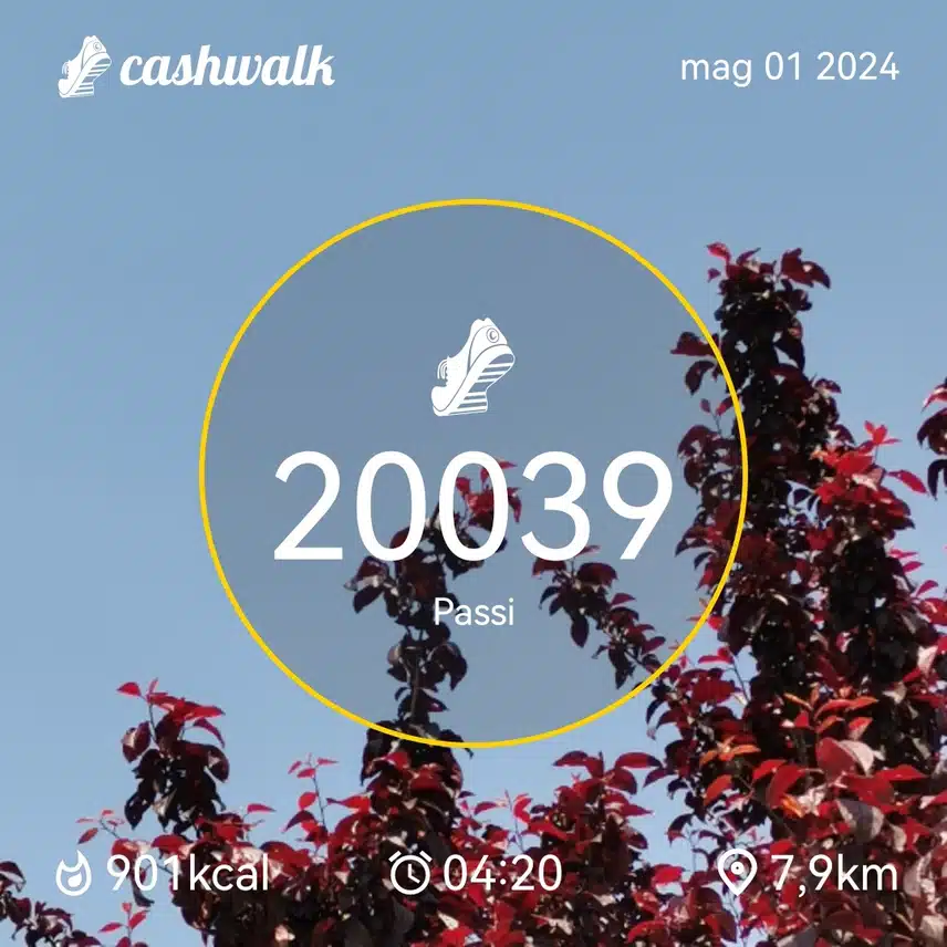 CashWalk_share_capture_20240501_9a59712f-e6c5-4c62-ae58-7bab5aee