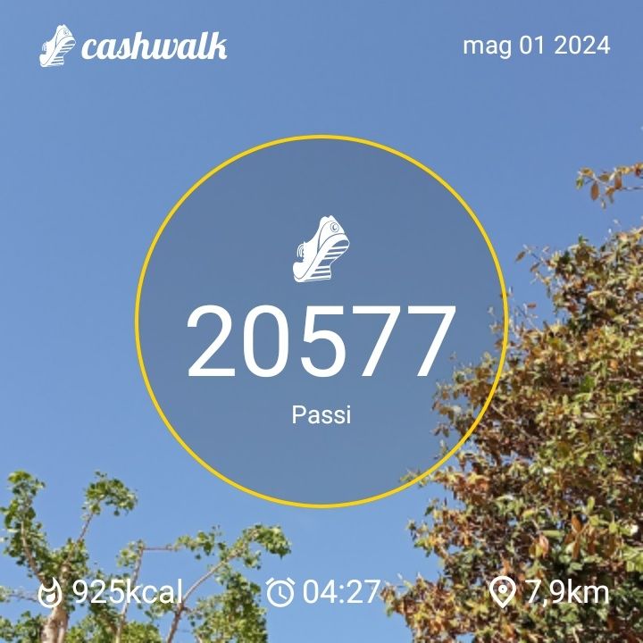 CashWalk_share_capture_20240501_9bec8ada-ed64-47a8-92bd-0dff2af6