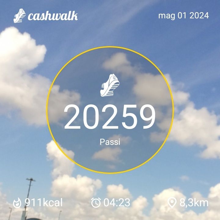 1000012693.jpg_resize