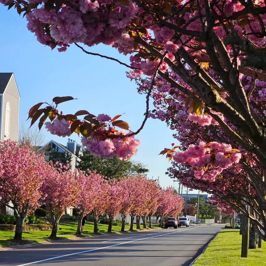 1000015518.jpg_resize