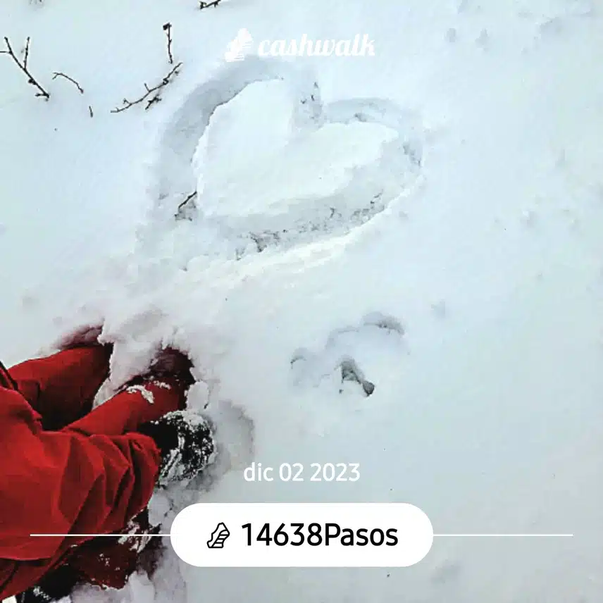 CashWalk_share_capture_20231202_7dce71d7-d861-4939-a288-3c67be19