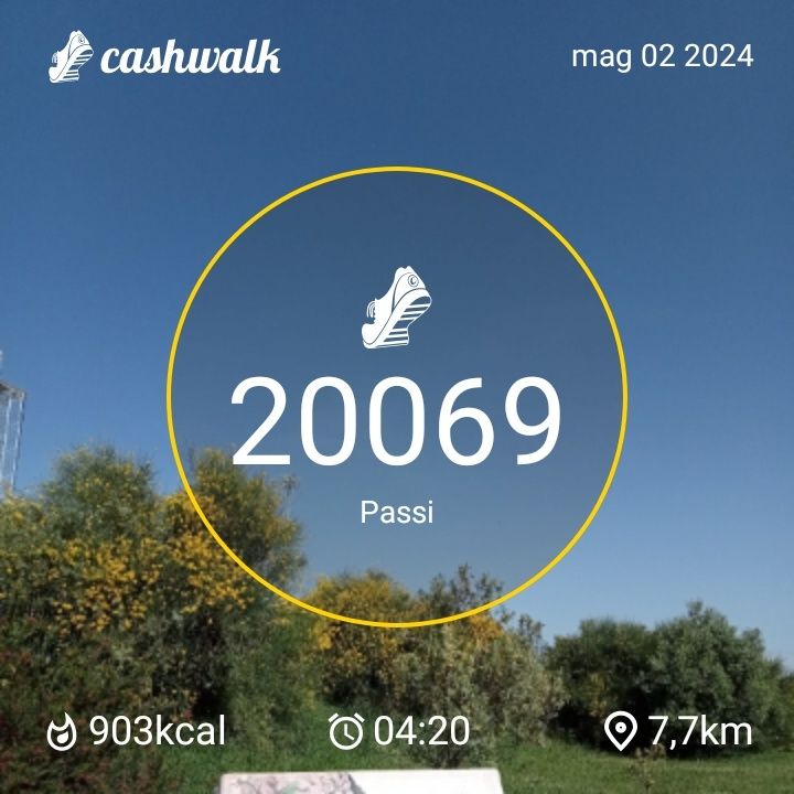 CashWalk_share_capture_20240502_74d44b0c-2a5f-41e0-bd8d-90d9a48a