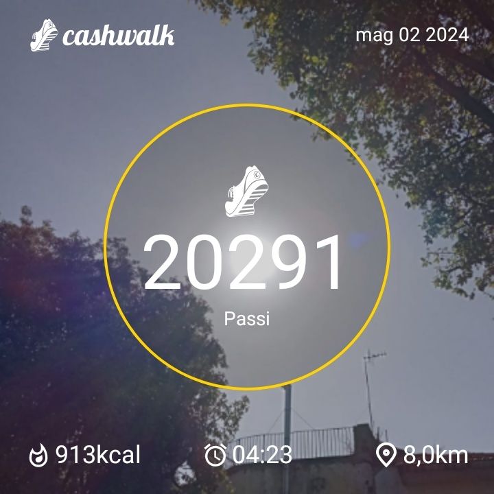 CashWalk_share_capture_20240502_13704be0-2f03-4145-9e0b-cc0bed1f