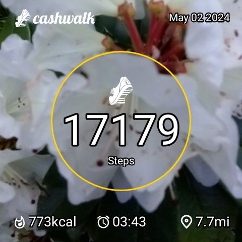 CashWalk_share_capture_20240502_63da6197-0e42-4448-9df4-467178e4