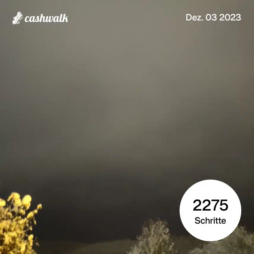 1000218665.jpg_resize