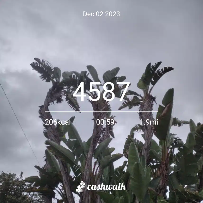 CashWalk_share_capture_20231202_27773618-c8b4-493c-8862-5bf98b1f