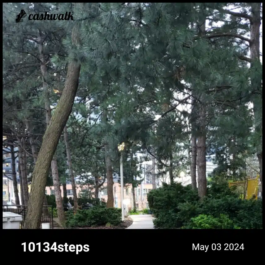 CashWalk_share_capture_20240503_6a4166a3-8d6e-42b9-9a2e-715162e8