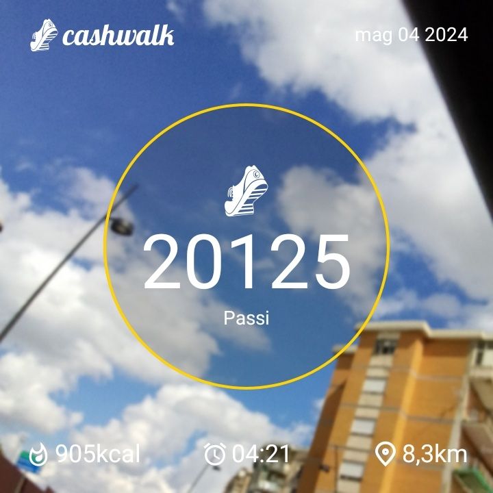 1000012859.jpg_resize