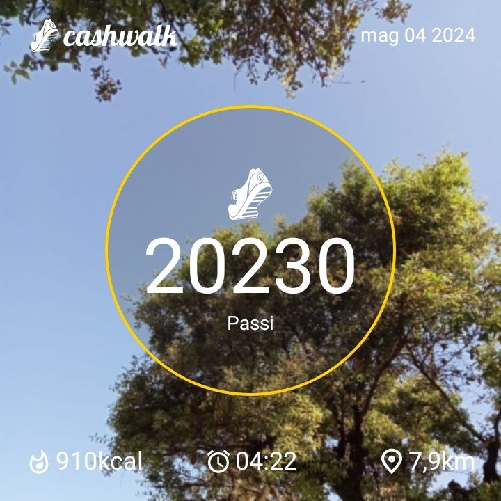 CashWalk_share_capture_20240504_2a54f924-791e-4129-a1d8-c1a5e13d