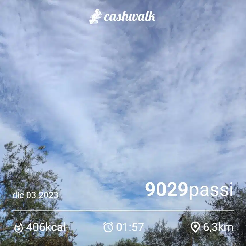CashWalk_share_capture_20231203_99402700-2d62-4c6f-a139-6b9db3d6